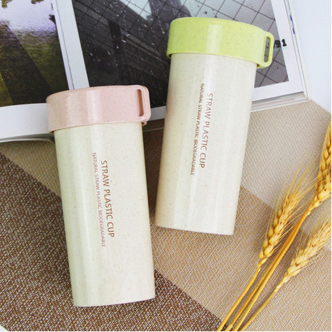 300ML Wheat Straw Cup, Green Gifts