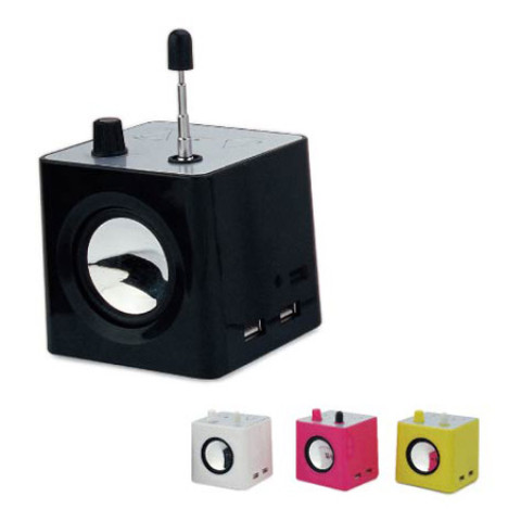 USB Multi-Port with FM Radio, USB Hub