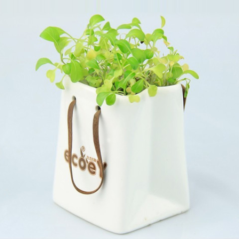 Environmental Planted Gift, Green Gifts