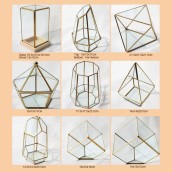 Geometric Glass Terrariums
