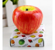 Fruit Candle, Other Household Premiums