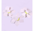 Promotional Pinwheel, Other Household Premiums