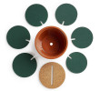 6-Piece Green Coaster Set, Gift Coaster