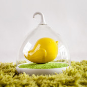 Bird Cage Light