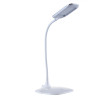 LED Lamp, Torch | Lighting