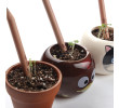 Environmental Pot Pencil, Pencil | Crayon