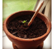 Environmental Pot Pencil, Pencil | Crayon