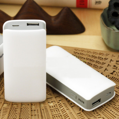 Large-Capacity Dual Connector ChargingTreasure, Power Bank