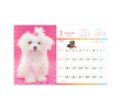 Table Calendar, Calendar