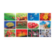 Table Calendar, Calendar