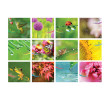 Table Calendar, Calendar