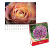Table Calendar, Calendar