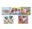 Wall Calendar, Calendar