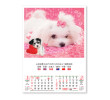 Wall Calendar, Calendar