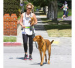 Pet Running Traction Bag Set, Other Bags