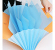 A4 Paper Expanding File Folder, Folder And File