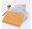 A4 Paper Expanding File Folder, Folder And File