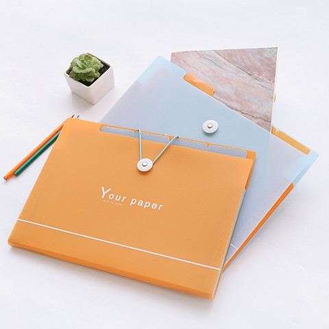 A4 Paper Expanding File Folder, Folder And File