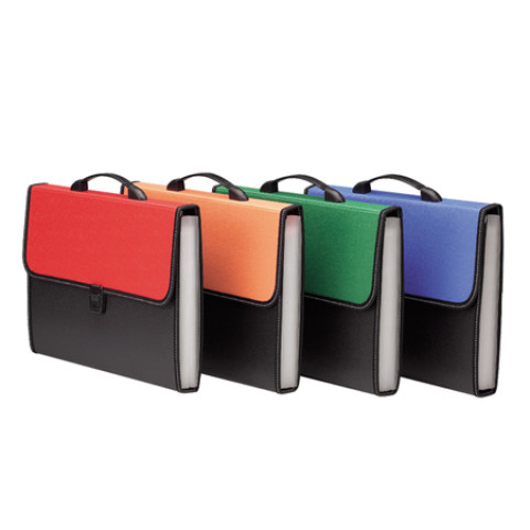 Leather Organ Bag, Folder And File