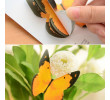 Animal Memo, Sticky Notes