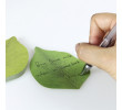 Custom-shape Memo, Sticky Notes