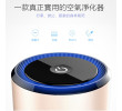 Ionic Air Purifier with Dual USB Ports, Health Gifts