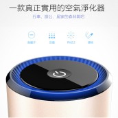 Ionic Air Purifier with Dual USB Ports