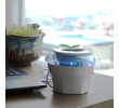 Peace Grass Car Air Purifier, Personal Care Products