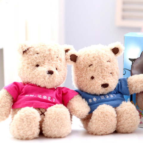 Graduation Bear Custom LOGO, Toys & Party Gifts