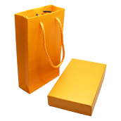 USB Flash Drive