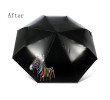 Color Changing Umbrella, Folding Umbrella