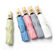 Folding Umbrella, Folding Umbrella