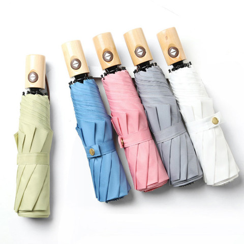 Folding Umbrella, Folding Umbrella