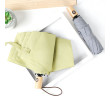 Folding Umbrella, Folding Umbrella