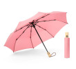 Folding Umbrella, Folding Umbrella