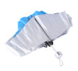 Folding Umbrella, Folding Umbrella