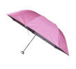 Folding Umbrella, Folding Umbrella