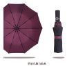 Three Folding Umbrella, Folding Umbrella