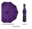 Three Folding Umbrella, Folding Umbrella