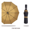 Three Folding Umbrella, Folding Umbrella