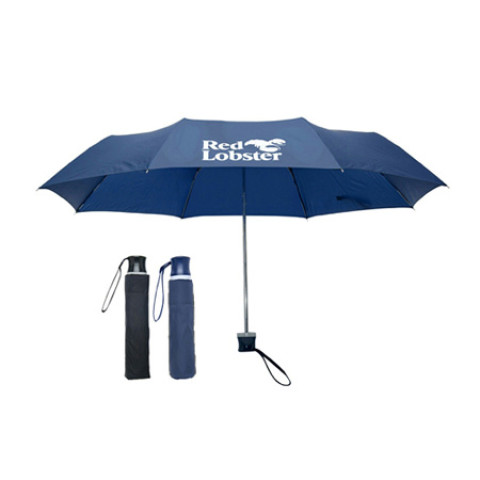 Folding Umbrella, Folding Umbrella