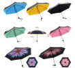 Folding Umbrella, Folding Umbrella